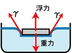 【第2回】（よくある話ですが）1円玉はなぜ水に浮くのか？