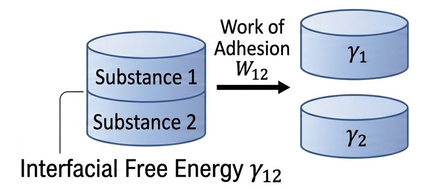 Work of Adhesion Image