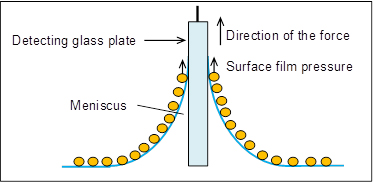 Measuring the surface film pressure