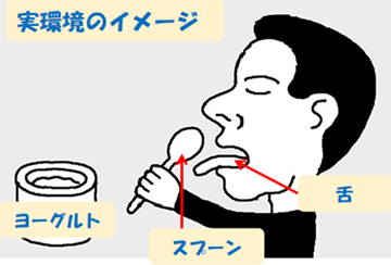 測定条件・結果 測定条件・結果