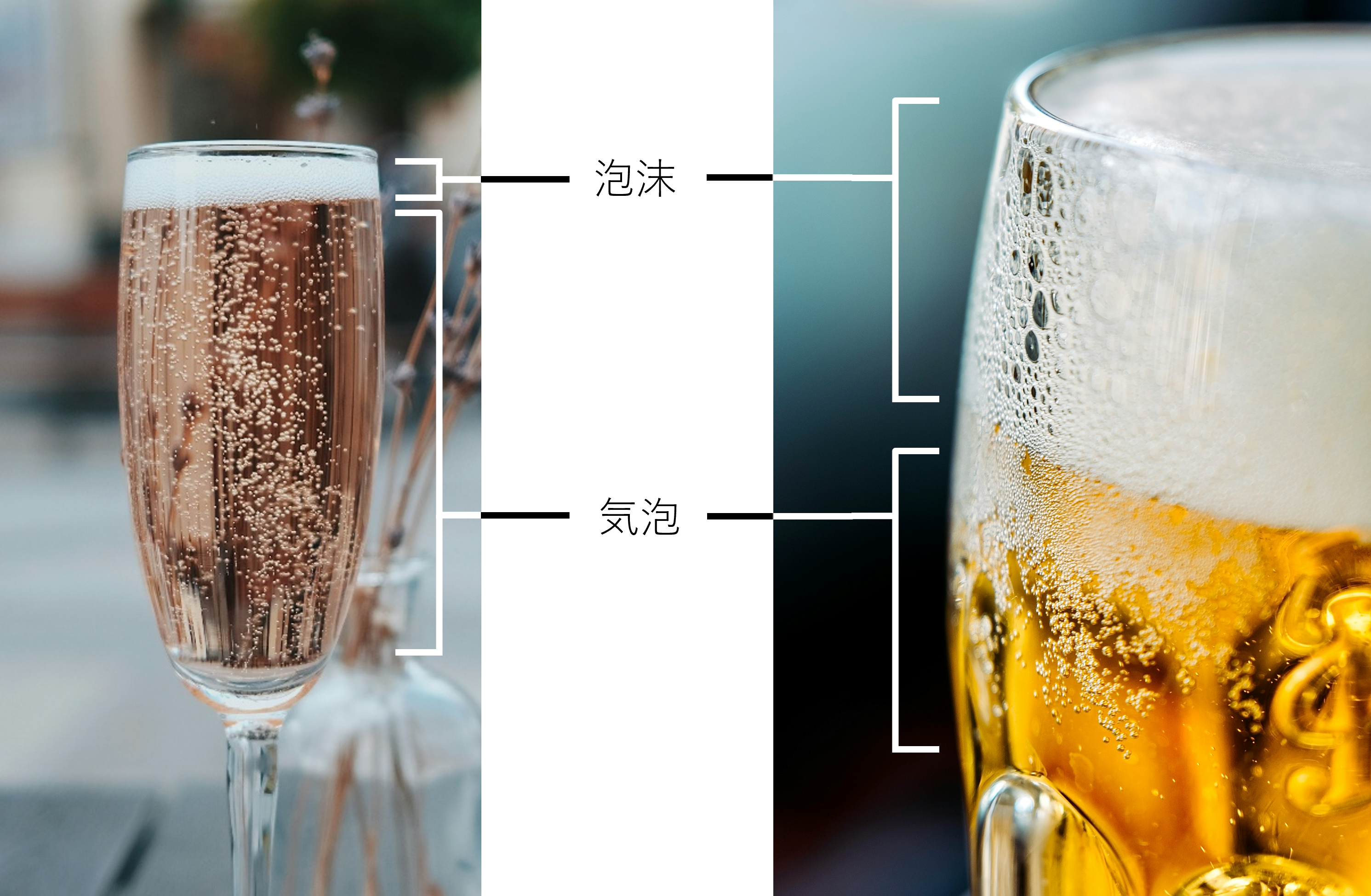 日常で見られる気泡と泡沫
