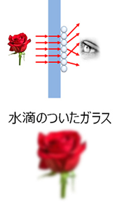 水滴のついたガラス 水滴のついたガラス