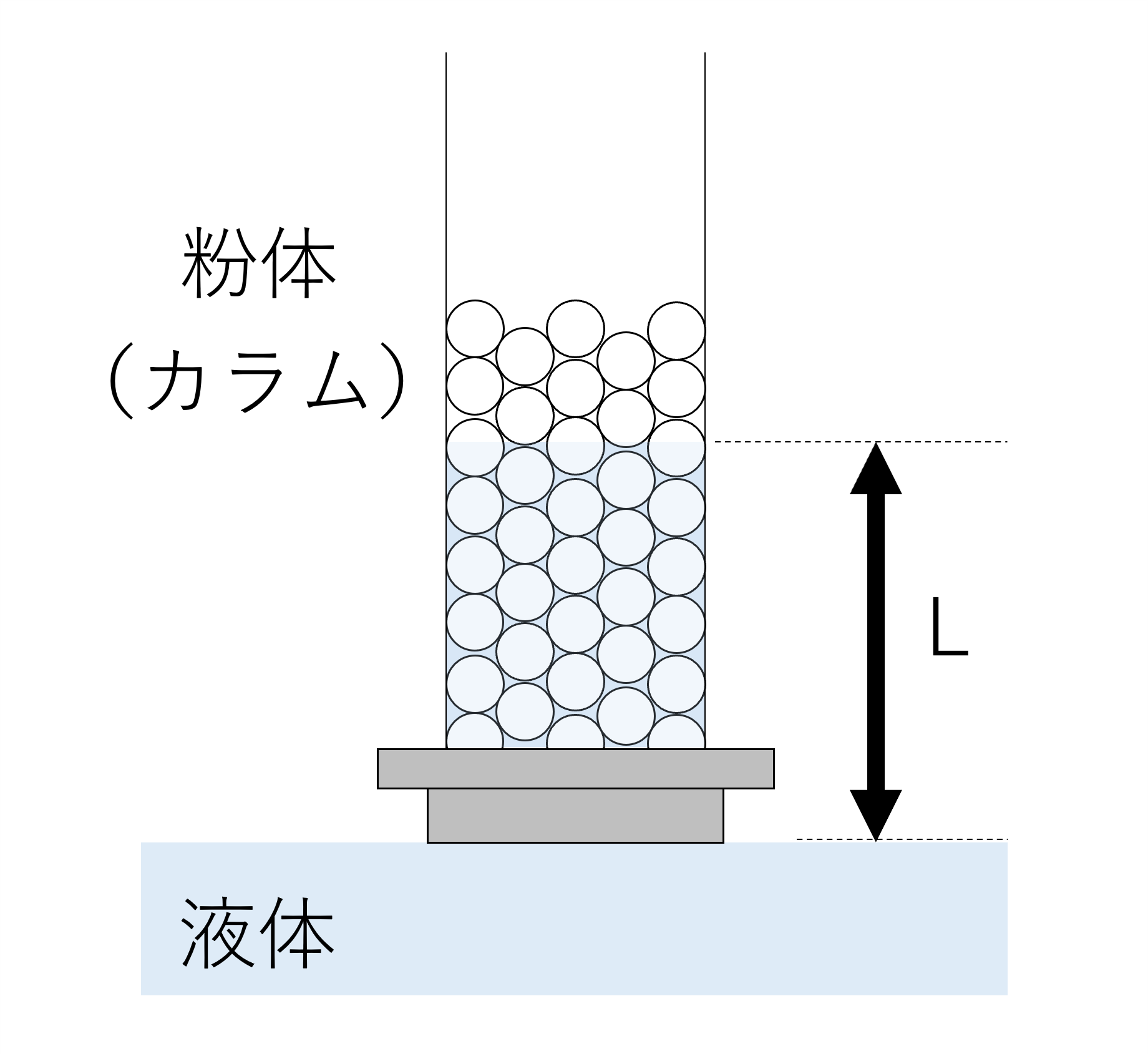 粉体カラムの断面イメージ