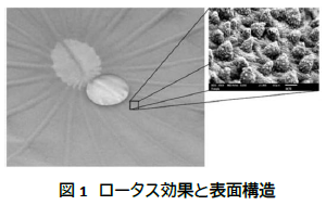 接触角を活用した表面粗さの評価｜研究開発を支援する界面科学測器の